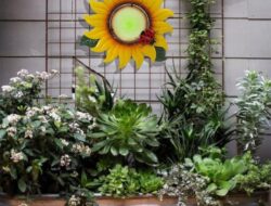 Spruce Up Your Space: Outdoor Wall Decor Ideas